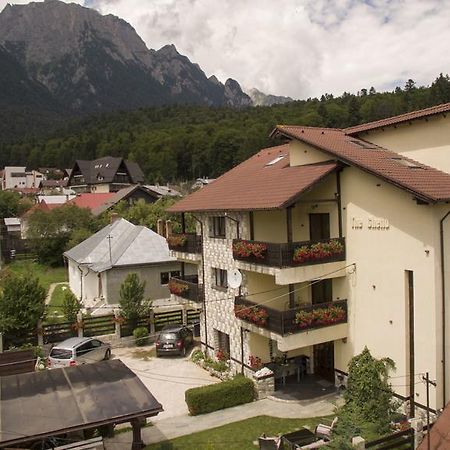 The Ghetto Hotell Buşteni Exteriör bild